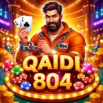 qaidi804