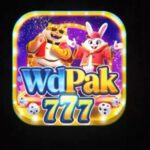 wdpak 777