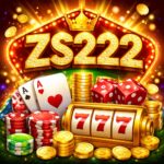 zs222 game